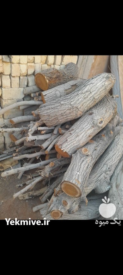 چوب انجیر و توت در خمینی شهر در گروه خرید و فروش انواع چوب در یکمیوه -عکس2