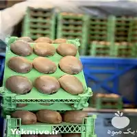 فروش سبد کیوی در گرگان در گروه خرید و فروش انواع سبد در یکمیوه