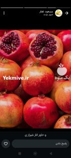 بار فروشی و حق العمل کاری در دزفول در گروه حق العمل کاری محصولات کشاورزی در یکمیوه