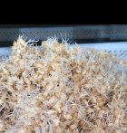 تولید عمده با کیفیت جوانه گندم در اصفهان در گروه انواع محصولات غذایی در یکمیوه