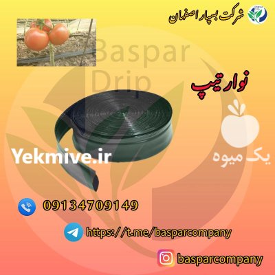 تولید نوار تیپ بازرگانی بسپار در چاه بهار در گروه خرید و فروش نوار تیپ در یکمیوه -عکس1