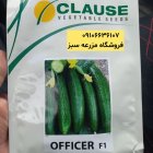 تضمین پرسودترین محصول با بذر خیار در اصفهان در گروه خرید و فروش بذر خیار در یکمیوه