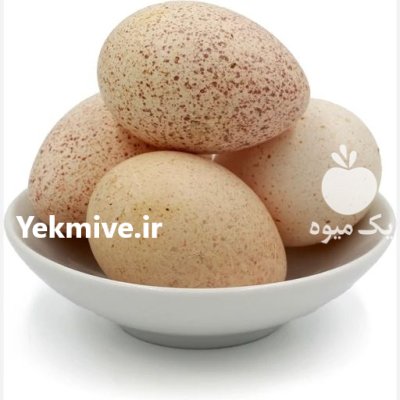 تخم بوقلمون خوراکی در اصفهان در گروه انواع تخم ها در یکمیوه -عکس1