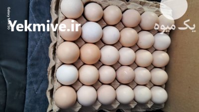 تخم مرغ دوزرده بومی در اصفهان در گروه انواع تخم ها در یکمیوه -عکس1