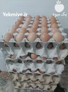 تخم مرغ بومی در اصفهان در گروه انواع تخم ها در یکمیوه