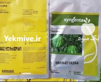 خرید بذر هندوانه باراکا طعم بی در شیراز در گروه خرید و فروش بذر هندوانه در یکمیوه -عکس1