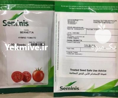 خرید بذر گوجه فرنگی برنتا اصل در مشهد در گروه خرید و فروش بذر گوجه در یکمیوه -عکس1
