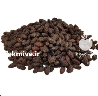خریدار زغال اخته خشک در تبریز در گروه خرید و فروش میوه خشک در یکمیوه -عکس1