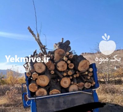 خریدار انواع چوب خشک تر نقد در اصفهان در گروه خرید و فروش چوب خشک در یکمیوه -عکس3