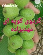 آگهی مشابه نهال گردو ژنوتیپ سنجد بادام مهدیزاده در مشهد در گروه خرید و فروش نهال در یکمیوه