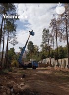 خریدار انواع چوب خشک تر نقد در اصفهان در گروه خرید و فروش چوب خشک در یکمیوه