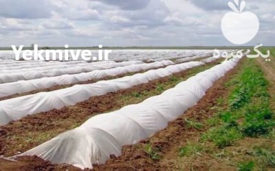 فروش مفتول های گالوانیزه کشاورزی در اردبیل در گروه خرید و فروش تجهیزات گلخانه در یکمیوه -عکس1