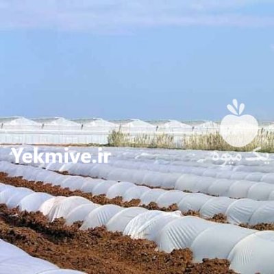 فروش مفتول های گالوانیزه کشاورزی در اردبیل در گروه خرید و فروش تجهیزات گلخانه در یکمیوه -عکس3