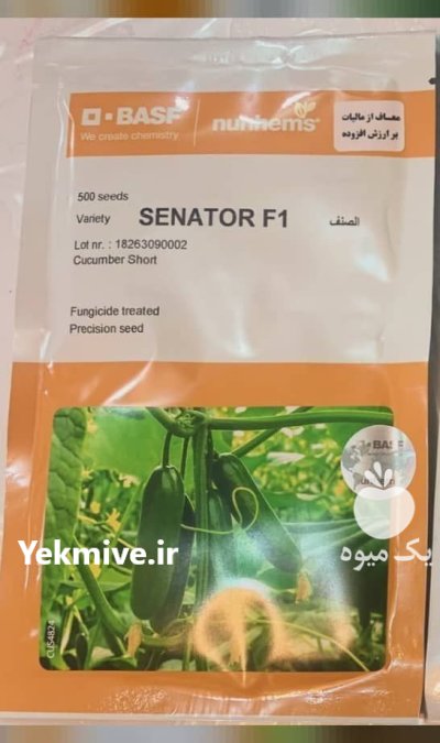 بذر خیار سناتور گزینه اول صادرکنندگا ن در شیراز در گروه خرید و فروش بذر خیار در یکمیوه -عکس1