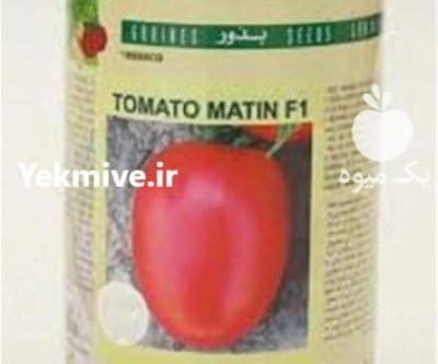 بذر گوجه متین کیفیتی بی رقیب تضمین در اصفهان در گروه خرید و فروش بذر گوجه در یکمیوه -عکس1