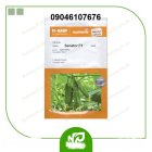 بذر خیار سناتور حکمرانی بر کیفیت محصول در اصفهان در گروه خرید و فروش بذر خیار در یکمیوه