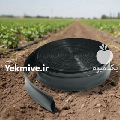 نوار تیپ 10 و 20 سانت در نیشابور در گروه خرید و فروش نوار تیپ در یکمیوه -عکس2