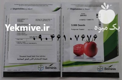 بذر گوجه بریویو نسل جدید گوجه های پربار در کرمان در گروه خرید و فروش بذر گوجه در یکمیوه -عکس1