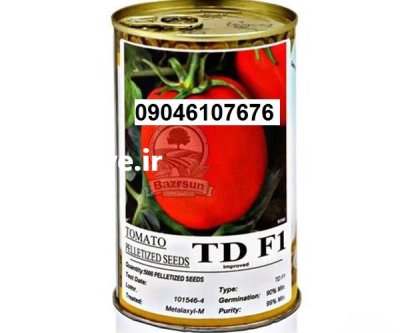 بذر گوجه تی دی تضمین سودآوری در کرمان در گروه خرید و فروش بذر گوجه در یکمیوه -عکس1
