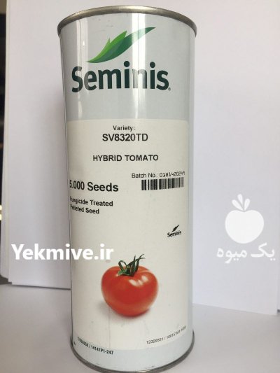 بذر گوجه 8320 صادراتی سود بیشتر در کهنوج در گروه خرید و فروش بذر گوجه در یکمیوه -عکس1