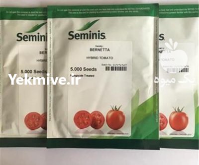 فروش بذر گوجه برنتا هیبرید رقم در شیراز در گروه خرید و فروش بذر گوجه در یکمیوه -عکس1