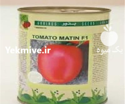 بذر گوجه متین مقاومت بی نظیر در کرمان در گروه خرید و فروش بذر گوجه در یکمیوه -عکس1