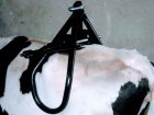 جک بلند کننده گاو جک زایمان در شیراز در گروه تجهیزات دامداری در یکمیوه
