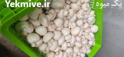 قارچ دکمه ای در تبریز در گروه خرید و فروش قارچ در یکمیوه -عکس1