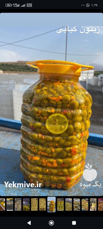 زیتون و روغن زیتون طارم در ابهر در گروه خرید و فروش زیتون در یکمیوه -عکس1