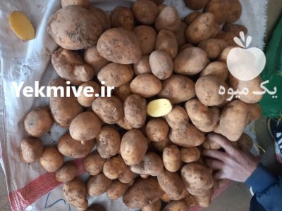 سیب زمینی درجه 123 لوکس در داران  در گروه خرید و فروش سیب زمینی در یکمیوه -عکس1