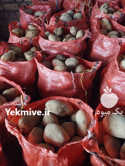 سیب زمینی درجه 123 لوکس در داران  در گروه خرید و فروش سیب زمینی در یکمیوه -عکس2