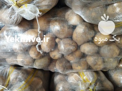 سیب زمینی درجه 123 لوکس در داران  در گروه خرید و فروش سیب زمینی در یکمیوه -عکس3