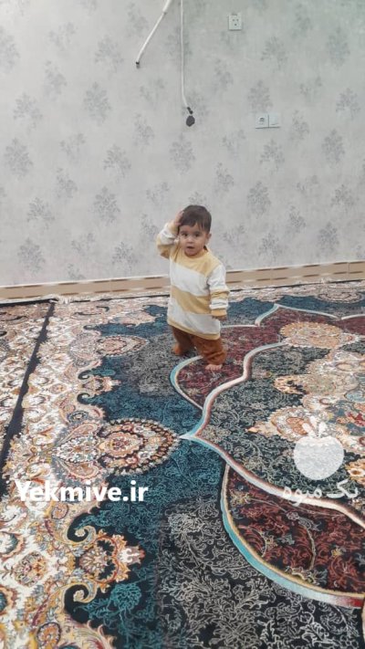 فروش محصولات کشاورزی دزفول برا صادرات در خوزستان در گروه خرید و فروش محصولات کشاورزی در یکمیوه -عکس3