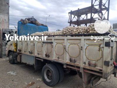 بار بارکن پیاز سیب زمینی گوجه خیار ملون در تهران در گروه بار بارکن محصولات کشاورزی در یکمیوه -عکس1