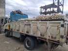 بار بارکن پیاز سیب زمینی گوجه خیار ملون در تهران در گروه بار بارکن محصولات کشاورزی در یکمیوه