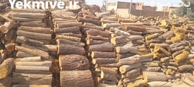 فروش انواع چوب زغال بسته بندی در اردکان در گروه خرید و فروش انواع چوب در یکمیوه -عکس2