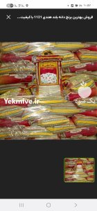 خریدار برنج هندی و پاکستانی در بندر ماهشهر در گروه خرید و فروش برنج در یکمیوه