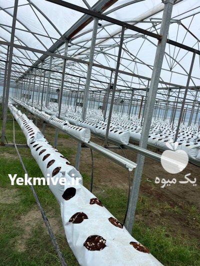 کیسه کشت هیدروپونیک یا کیسه گروبک در پاکدشت در گروه خرید و فروش بسته بندی نایلونی در یکمیوه -عکس3