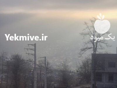 اجاره غرفه در بازارهای میوه تره در تهران در گروه حجره در میدان تره بار در یکمیوه -عکس1