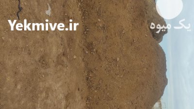 فروش انواع کود حیوانی گوسفندی و گاوی در تبریز در گروه خرید و فروش کود حیوانی در یکمیوه -عکس2