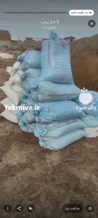 فروش انواع کود حیوانی گوسفندی و گاوی در تبریز در گروه خرید و فروش کود حیوانی در یکمیوه