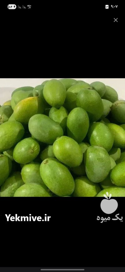 انبه کال ترشی و لیمو در بندرعباس در گروه محصولات ترشی در یکمیوه -عکس1
