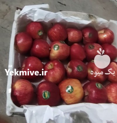 فروش سیب قرمز اشنویه مشهد در خراسان رضوی در گروه خرید و فروش سیب در یکمیوه -عکس1