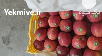 فروش سیب قرمز اشنویه مشهد در خراسان رضوی در گروه خرید و فروش سیب در یکمیوه -عکس3