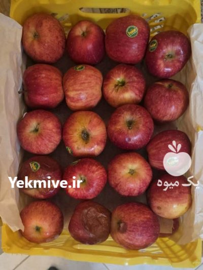 فروش سیب قرمز اشنویه مشهد در خراسان رضوی در گروه خرید و فروش سیب در یکمیوه -عکس4