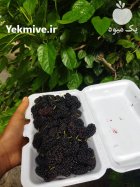 شاه توت لذیذ و شیرین در شیراز در گروه خرید و فروش توت در یکمیوه