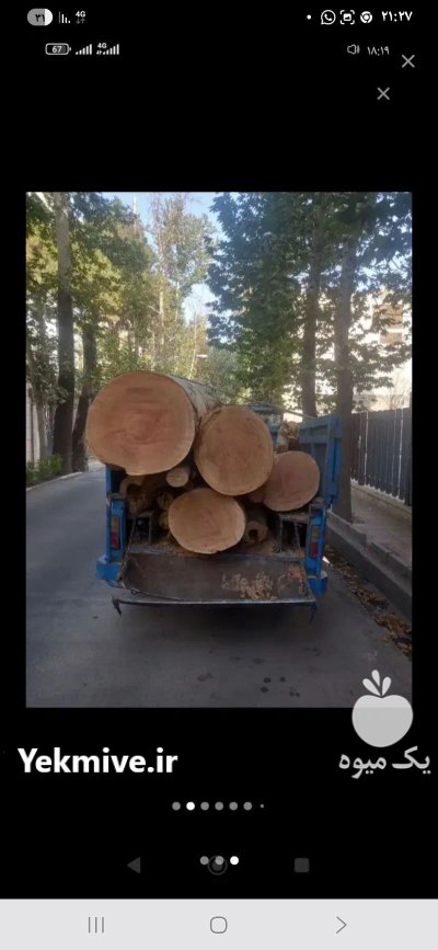 خریدار چوب چنار در چهاردانگه در گروه خرید و فروش انواع چوب در یکمیوه -عکس1