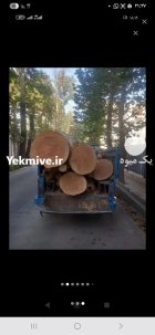 خریدار چوب چنار در چهاردانگه در گروه خرید و فروش انواع چوب در یکمیوه
