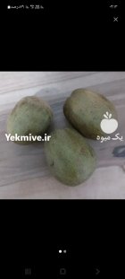 فروش کیوی توو سرخ در تهران در گروه خرید و فروش کیوی در یکمیوه