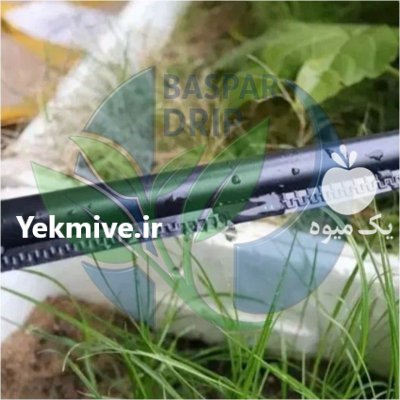 نوار تیپ 10 و 20 سانت در اصفهان در گروه خرید و فروش نوار تیپ در یکمیوه -عکس1